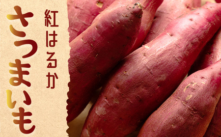 さつまいも(紅はるか) Mサイズ 2kg【さつまいも 香南市産さつまいも おすすめさつまいも 甘いさつまいも 人気さつまいも さつまいも 期間限定さつまいも】 at-0007