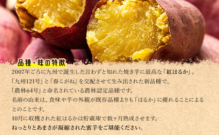 さつまいも(紅はるか) Mサイズ 2kg【さつまいも 香南市産さつまいも おすすめさつまいも 甘いさつまいも 人気さつまいも さつまいも 期間限定さつまいも】 at-0007