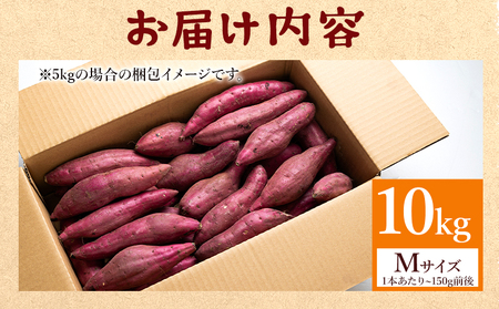 さつまいも(土佐紅) Mサイズ 10kg【さつまいも 野菜 さつまいも やさい さつまいも 芋 さつまいも 旬 さつまいも 国産 さつまいも おすすめ】 at-0003