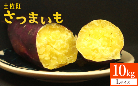 さつまいも(土佐紅) Lサイズ 10kg【さつまいもさつまいもさつまいもさつまいもさつまいもさつまいもさつまいも】 at-0006