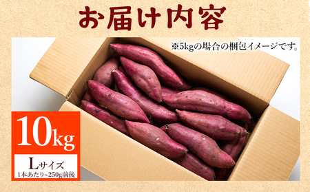 さつまいも(土佐紅) Lサイズ 10kg【さつまいもさつまいもさつまいもさつまいもさつまいもさつまいもさつまいも】 at-0006