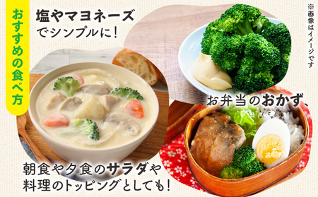 ブロッコリー 約2kg 産地直送 ブロッコリー 2025年12月中旬から順次配送 sy-0010