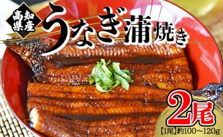 【大人気！】高知県産養殖うなぎ蒲焼き 100～120g 2尾セット fb-0018