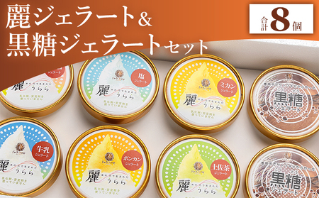 アイス 麗ジェラートと黒糖ジェラート 8個セット お菓子・スイーツ アイス dc-0072