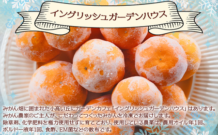 冷凍みかん 1kg【冷凍みかん 冷凍みかん 冷凍みかん 冷凍みかん 冷凍みかん】 eh-0038