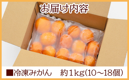 冷凍みかん 1kg【冷凍みかん 冷凍みかん 冷凍みかん 冷凍みかん 冷凍みかん】 eh-0038