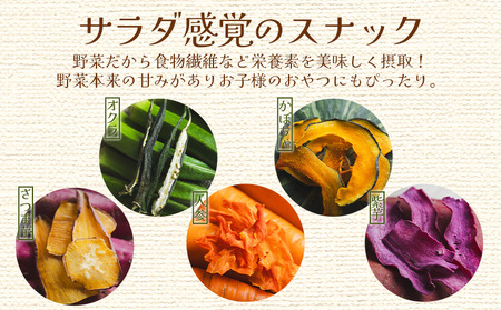 【ノンフライ野菜】野菜チップス 6袋 小分け やさい ke-0003
