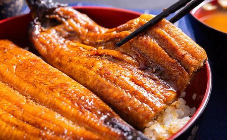 高知県産養殖うなぎ蒲焼 100~120g 3尾セット ss-0025