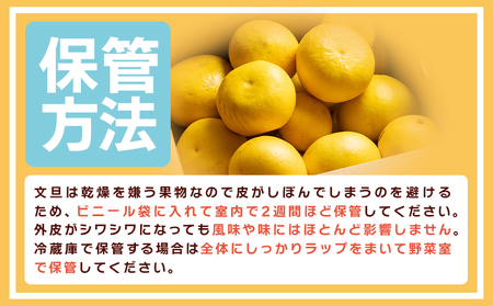 山北みらい 土佐文旦 10kg 家庭用 (L～3Lサイズ) 先行予約 文旦 yk-0052