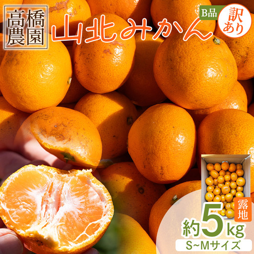 【2026年11月中旬より順次配送】訳あり 山北みかん 5kg 甘い みかん th-0026