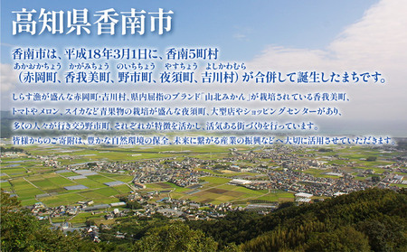寄附のみの応援受付(返礼品はございません) 高知県 香南市 返礼品なし 寄付 ky-03
