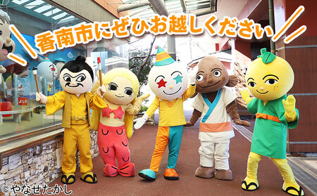 寄附のみの応援受付(返礼品はございません) 高知県 香南市 返礼品なし 寄付 ky-04