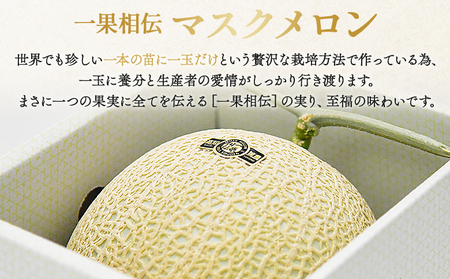 マスクメロン 先行受付 3玉 | 家庭用メロン 篤農 tn-0029