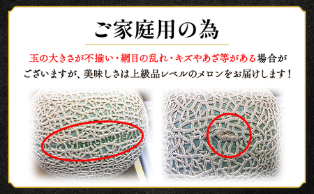 マスクメロン 先行受付 3玉 | 家庭用メロン 篤農 tn-0029
