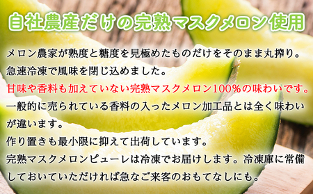 【2回定期便】完熟マスクメロンピューレ 120g×6袋 【 ピューレ  ピューレ  ピューレ  ピューレ  ピューレ 】 Wtn-0030