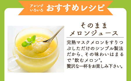 【2回定期便】完熟マスクメロンピューレ 120g×6袋 【 ピューレ  ピューレ  ピューレ  ピューレ  ピューレ 】 Wtn-0030