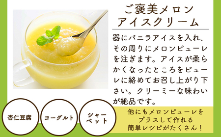 【2回定期便】完熟マスクメロンピューレ 120g×6袋 【 ピューレ  ピューレ  ピューレ  ピューレ  ピューレ 】 Wtn-0030