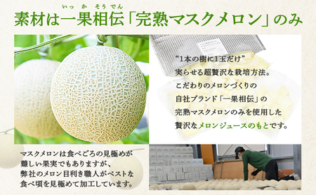 【6回定期便】メロンジュースのもと 約800ｇ 約165g×5パック 【 カットメロン  カットメロン  カットメロン  カットメロン  カットメロン 】 Wtn-0035