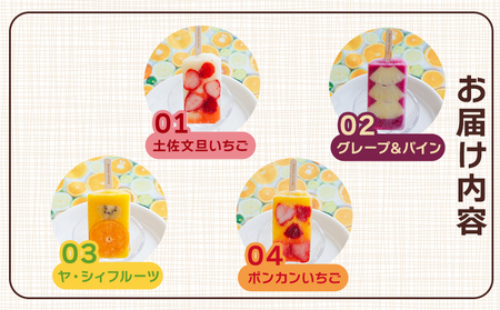 【２回定期便】手作りアイスキャンディー １２本セット 【 アイスキャンディー 定期便 アイスキャンディー 定期便 アイスキャンディー 定期便 アイスキャンディー 定期便 】 Wys-0017