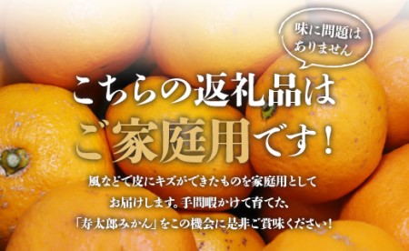 間城農園 甘い完熟みかん 寿太郎 (家庭用) 5kg【寿太郎みかん くだもの 柑橘 フルーツ】 ms-0082