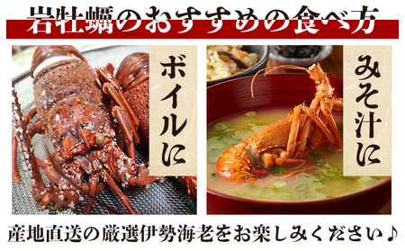 海鮮バーベキューセット 2〜3人前 伊勢海老 岩牡蠣 海鮮 eb-0036