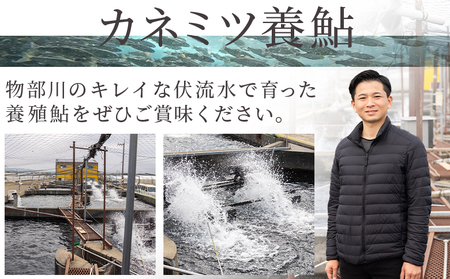 【冷蔵】子持ち鮎 500g 先行受付【子持ち鮎 子持ち鮎 子持ち鮎 子持ち鮎 子持ち鮎】 kt-0004
