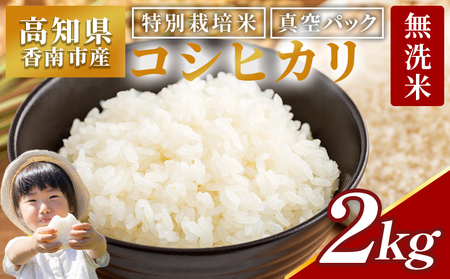 【令和7年産】コシヒカリ2kg 令和7年産コシヒカリ 特別栽培米 高知県 無洗米 [公益社団法人香南市農業公社] nu-0001