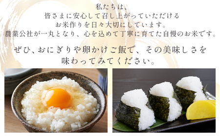 【令和7年産】コシヒカリ2kg 令和7年産コシヒカリ 特別栽培米 高知県 無洗米 [公益社団法人香南市農業公社] nu-0001