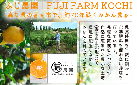 【特別栽培みかん】【2026年10月以降順次配送分】ふじ農園 贈答用 2.5kg 小玉 みかん fn-0009