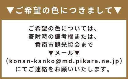 【段ボール遊具】【段ボールハウス】ロケット 色選択可能 ta-0038