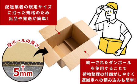 引越しダンボールセット 計15枚 (120サイズ：10枚 100サイズ：5枚