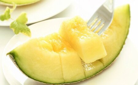 マスクメロン 1.4kg以上 家庭用 定期便 3回 メロン Wtn-0038