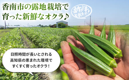 【2026年発送分】オクラ 1kg 〈100本前後〉 新鮮 オクラ 野菜 on-0032