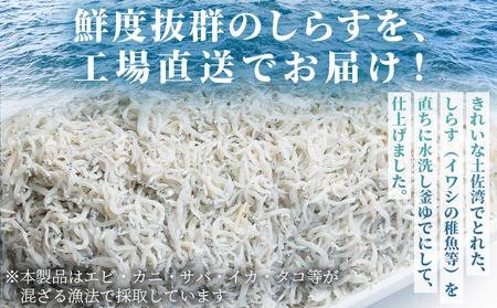 【冷蔵】釜出ししらす(ちりめん) 約1kg しらす mu-0010