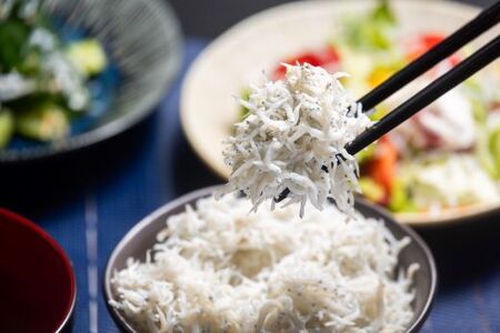 【冷蔵】釜出ししらす(ちりめん) 約1kg しらす mu-0010