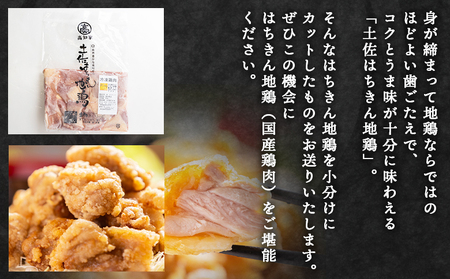 【7日程度で発送】土佐はちきん地鶏 もも肉 500g スピード 地鶏 もも肉 ad-0002