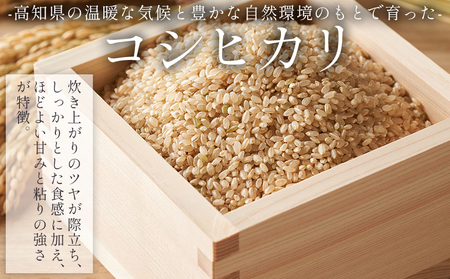 【7日程度で発送】特別栽培米 コシヒカリ 玄米 30kg 令和7年産 nu-0009