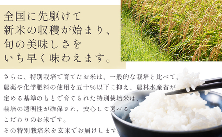 【7日程度で発送】特別栽培米 コシヒカリ 玄米 30kg 令和7年産 nu-0009