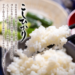 【7営業日程度で発送】無洗米 令和7年産 コシヒカリ 無洗 cs-0002