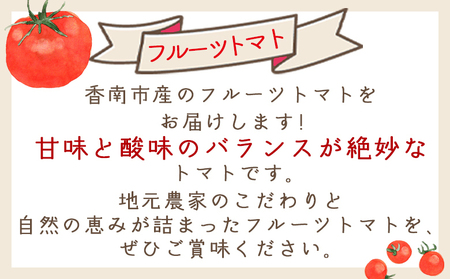 【発送開始】フルーツトマト ２kg 家庭用 フルーツトマト yr-0067