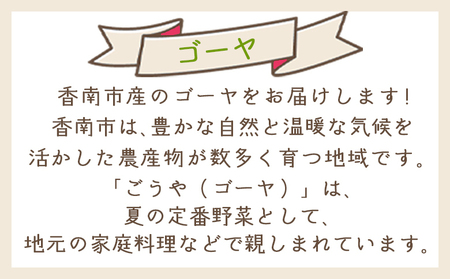 ゴーヤ 1kg 家庭用 ゴーヤ yr-0073