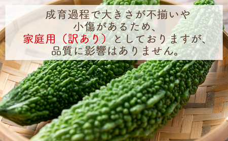 ゴーヤ 3kg 家庭用 ゴーヤ yr-0075