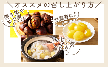 栗 2袋（２kg） 栗 yr-0103