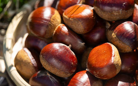 栗 2袋（２kg） 栗 yr-0103