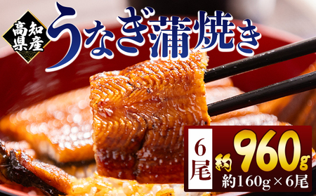 高知県産蒲焼きうなぎ １６０ｇ ６尾 計９６０ｇ fb-0156
