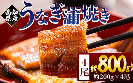 高知県産蒲焼きうなぎ ２００ｇ ４尾 計８００ｇ fb-0161