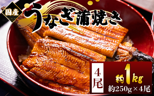 国産蒲焼きうなぎ ２５０ｇ ４尾 計１kｇ 蒲焼き fb-0169