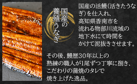 国産蒲焼きうなぎ ２８０ｇ ２尾 計５６０ｇ うなぎ fb-0175