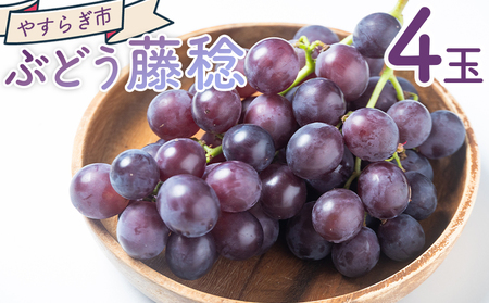 【2026年8月から発送予定】藤稔 ぶどう 2026年 4房 ぶどう yr-0099