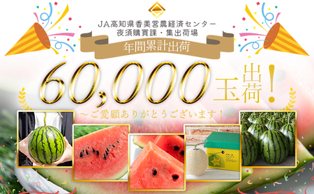 スイカ定期便 全3回 ルナピエナ スイカ フルーツ Wyu-0063